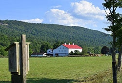Pleasant Acres Farm